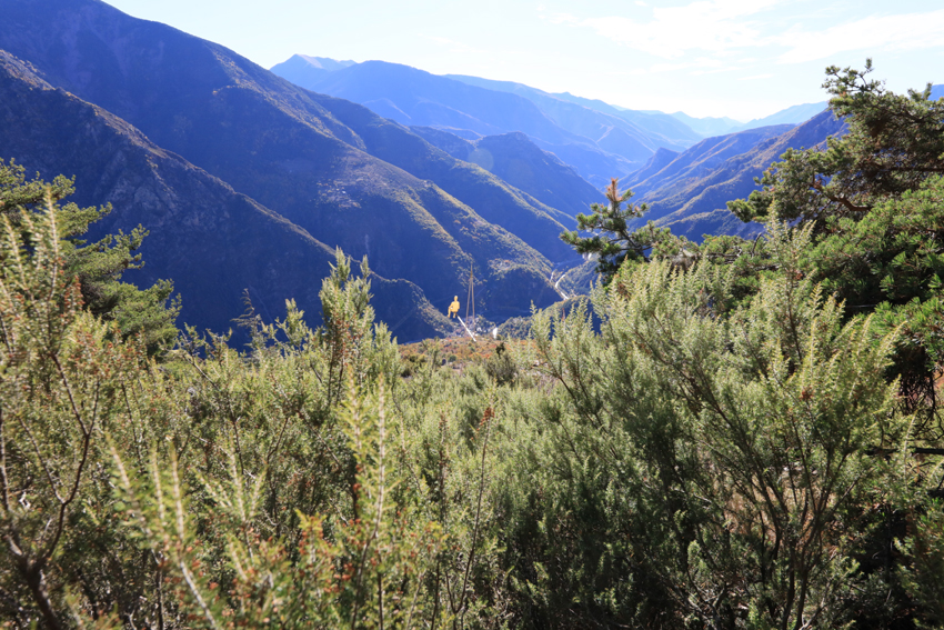 Vue de l’arboretum sur la Vallée de la Tinée - Image en taille réelle, .JPG 576Ko (fenêtre modale)