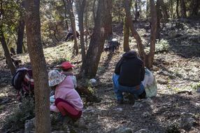 Les p’tits loups à "L’école de la forêt" ou comment redécouvrir le temps naturel de la vie des pitchouns et leurs parents avec celui de la Nature