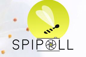 Spipoll :  programme de science participatives de suivi photographique des insectes pollinisateurs