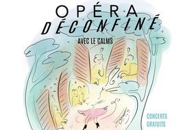 Opéra Déconfiné : "Ouvrez vos fenêtres, vous êtes à l’opéra !"