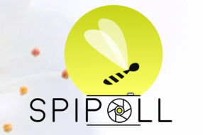 Spipoll : programme de science participatives de suivi photographique des insectes pollinisateurs