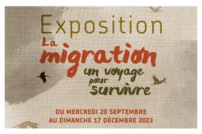 Exposition temporaire : "Migration, un voyage pour survivre"